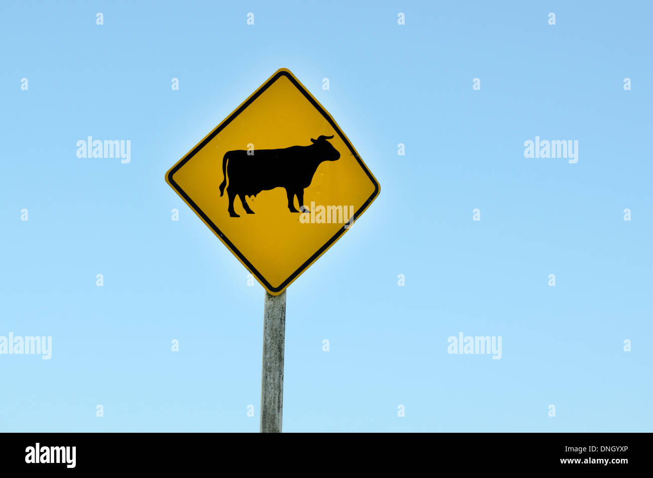Nz Road Sign High Resolution Stock Photography and Images - Alamy