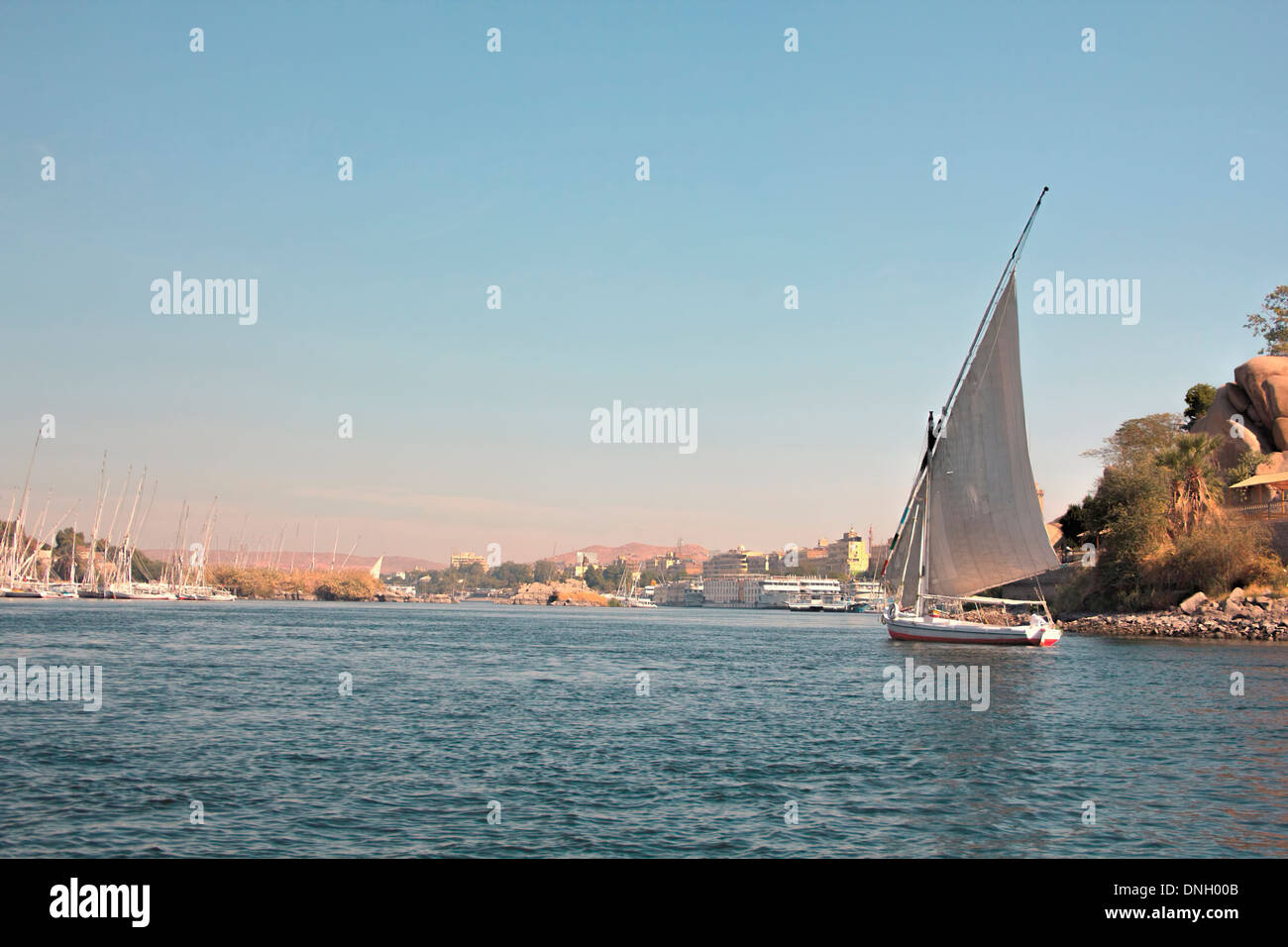 Traditional Felucca Boat sailing on the River Nile around the islands at Aswan, Egypt. Stock Photo