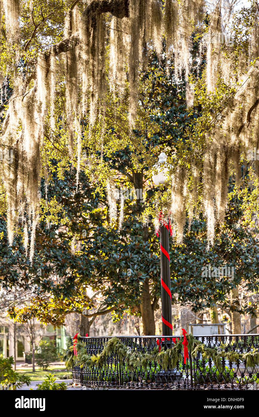 Christmas in Forsyth Park in Savannah, GA Stock Photo Alamy