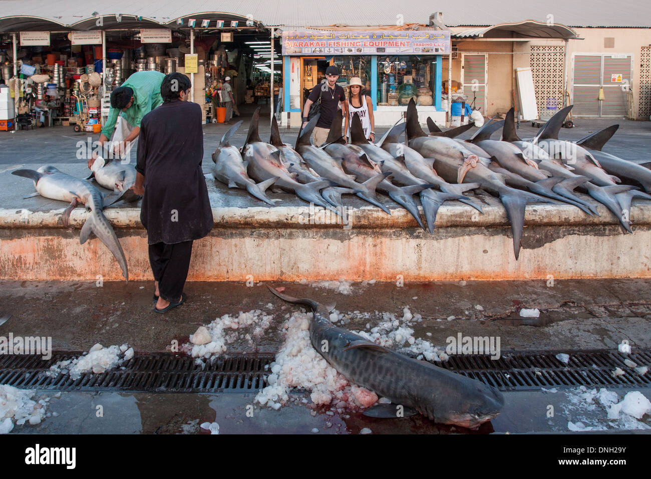 STALL SELLING SHARKS IN FRONT OF THE FISH MARKET IN THE DEIRA QUARTER, DUBAI, UNITED ARAB EMIRATES, MIDDLE EAST Stock Photo