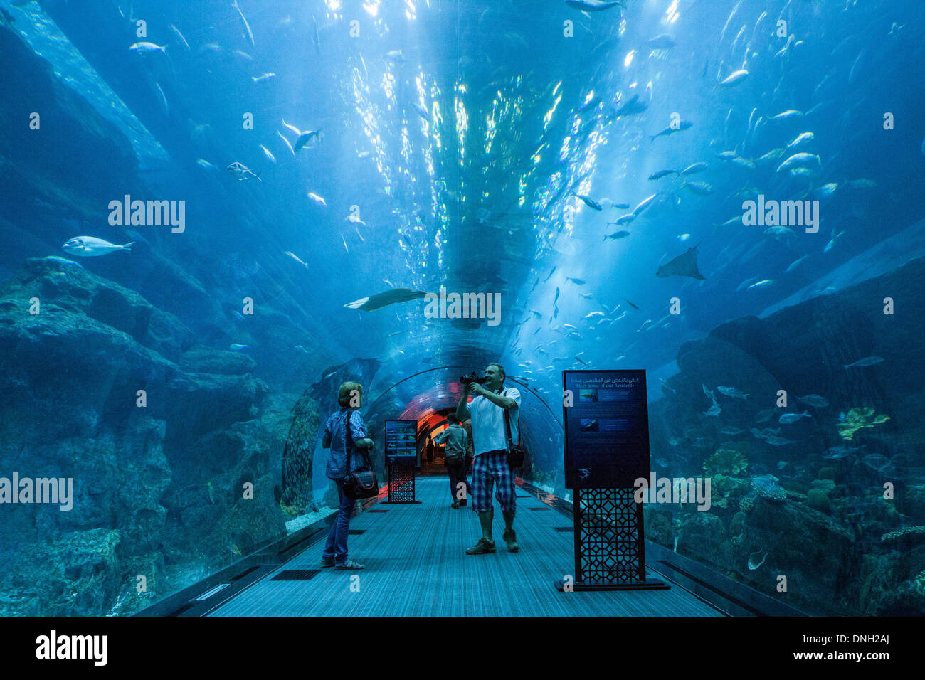 TOURISTS TAKING PICTURES OF THEMSELVES IN THE TUNNEL BELOW THE GIANT AQUARIUM IN THE SHOPPING CENTER DUBAI MALL, DOWNTOWN DUBAI, DUBAI, UNITED ARAB EMIRATES, MIDDLE EAST Stock Photo