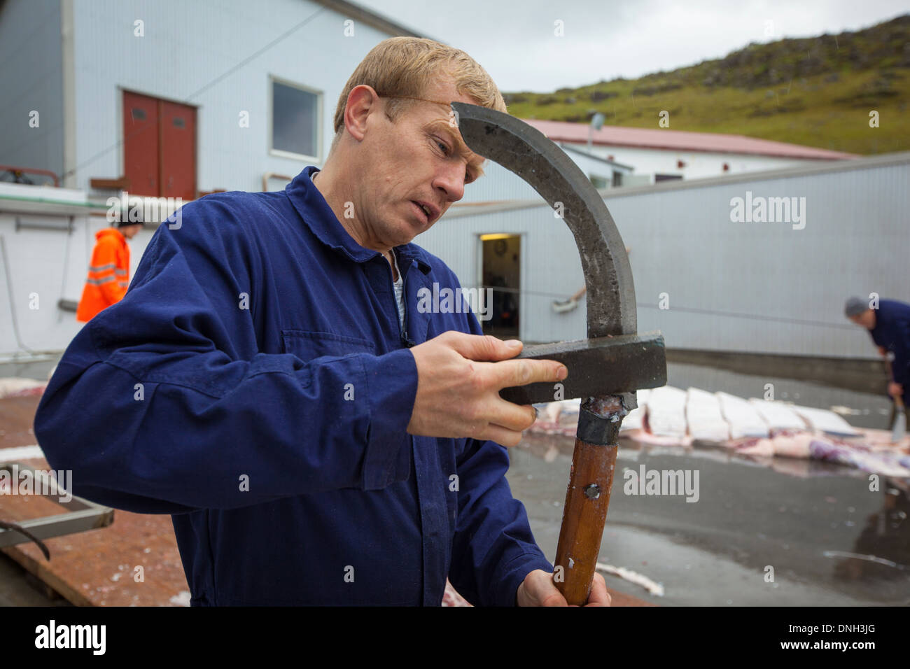 Whaling tools hires stock photography and images Alamy