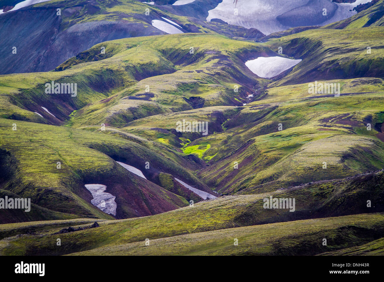 ETERNAL SNOWS IN LANDMANNALAUGAR, VOLCANIC AND GEOTHERMAL ZONE OF WHICH THE NAME LITERALLY MEANS 'HOT BATHS OF THE PEOPLE OF THE LAND', REGION OF THE HIGH PLATEAUS, SOUTHERN ICELAND, EUROPE Stock Photo