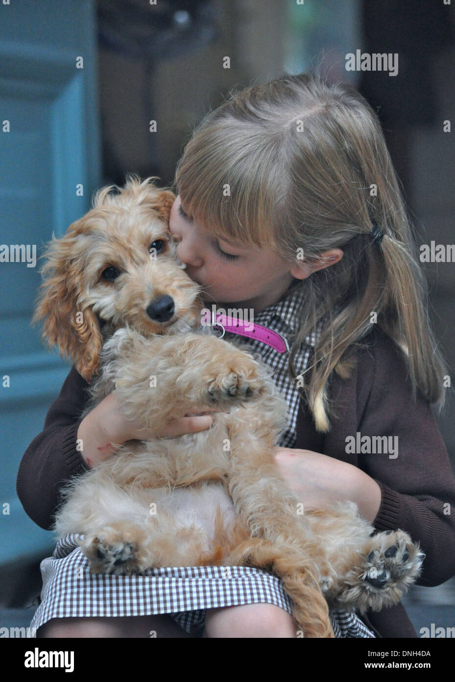 little girl in brown school uniform kisses and hugs her golden puppy dog Stock Photo