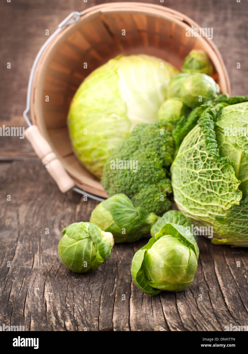 Still life with assortment cabbages on wooden background Stock Photo