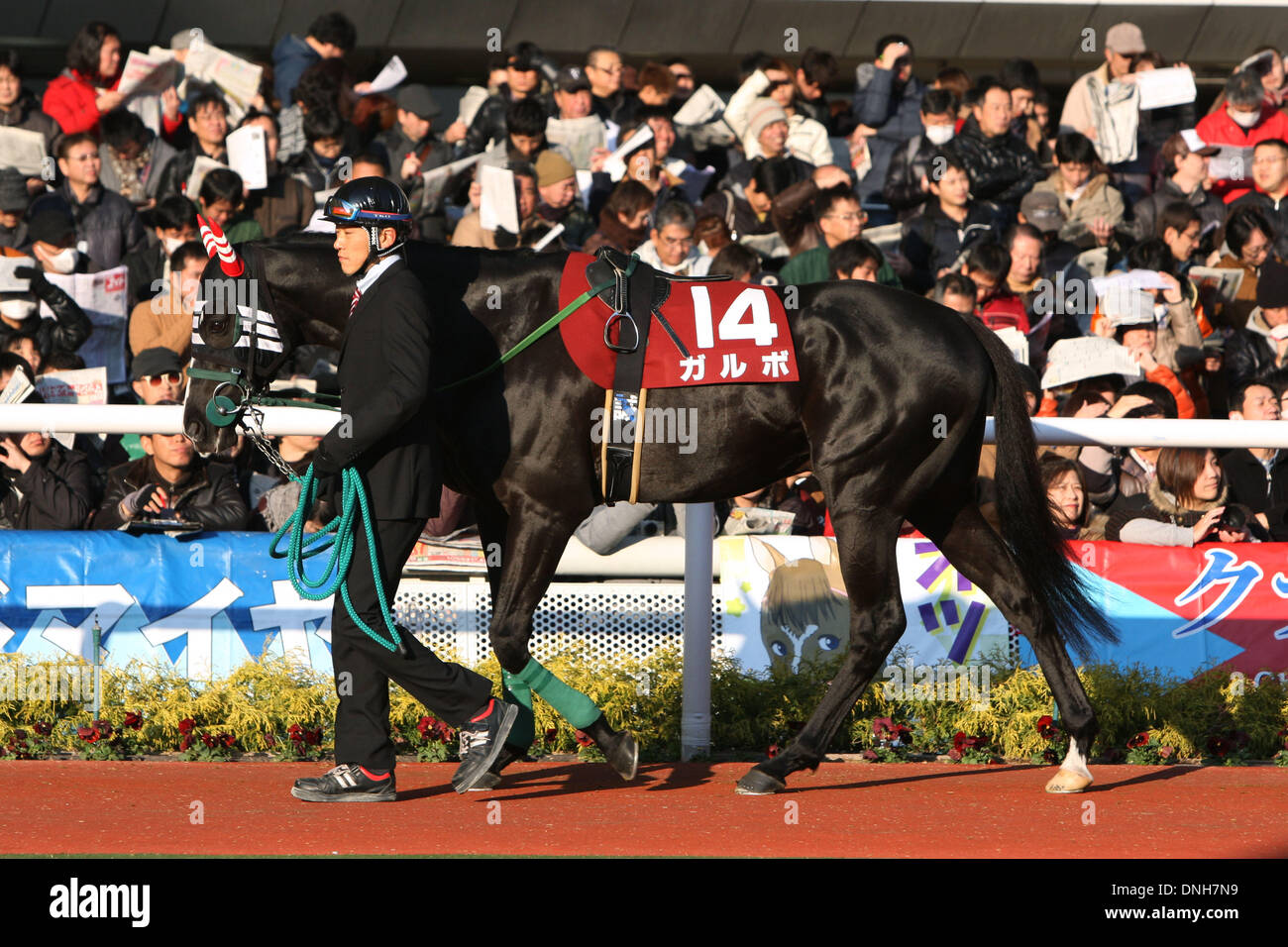 Hyogo, Japan. 23rd Dec, 2013. Garbo Horse Racing : Garbo is led through ...