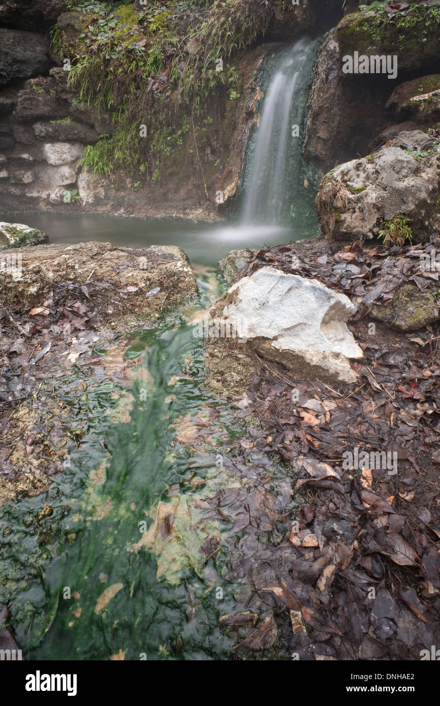 One of 47 hot springs within the city of Hot Springs, Arkansas, USA. Stock Photo