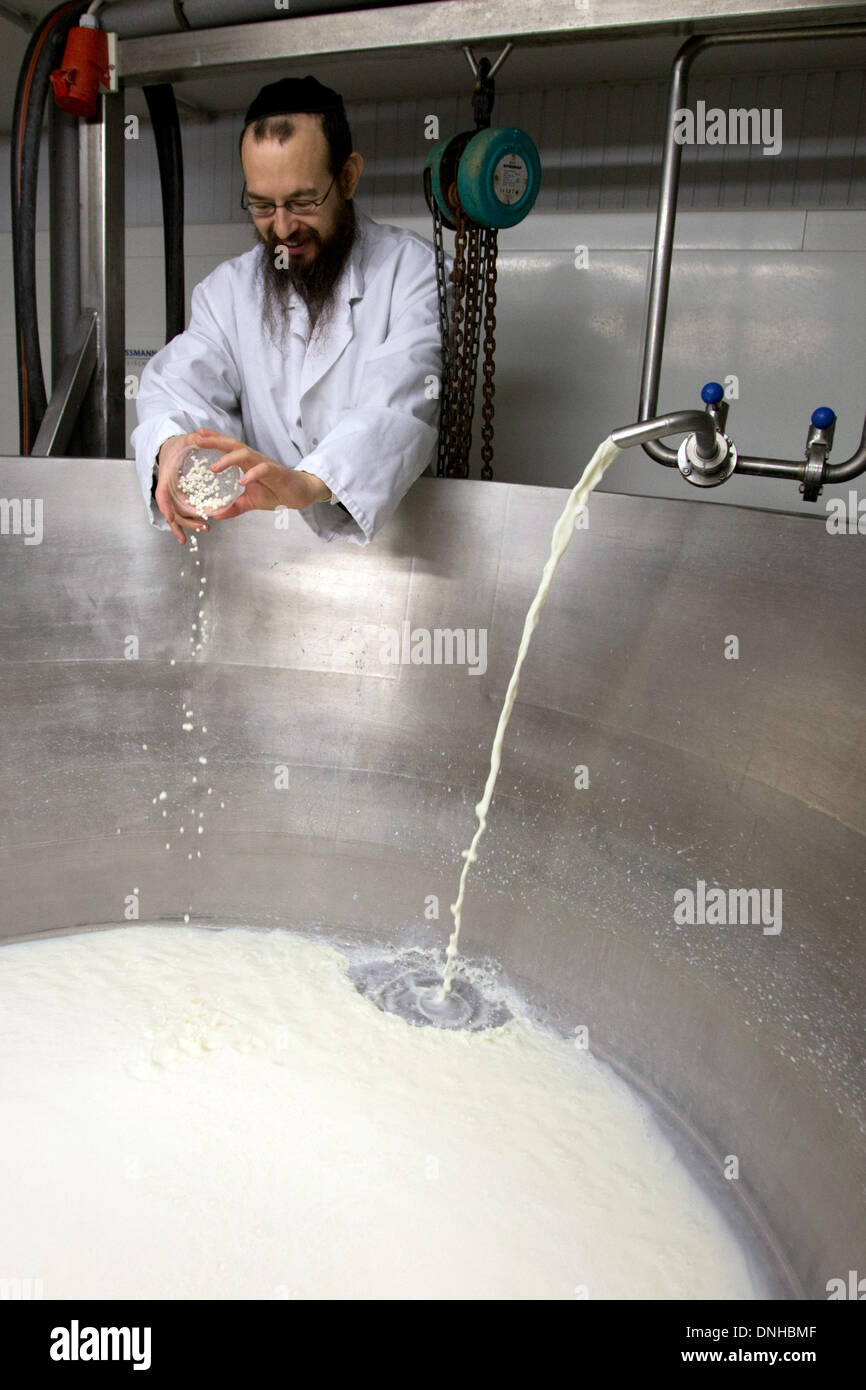 Mashgiach Jehoshua Krush empties a lab bowl into the large cheese vat in the milk kitchen of the dairy 'Kruse's farm milk' in Rellingen near Hamburg, Germany, 01 December 2013. The small dairy claims to be Germany's only dairy farm, which manufactures cheese, cottage cheese, cream cheese and milk according to the Jewish dietary laws of kashrut. Photo: Christian Charisius/dpa Stock Photo