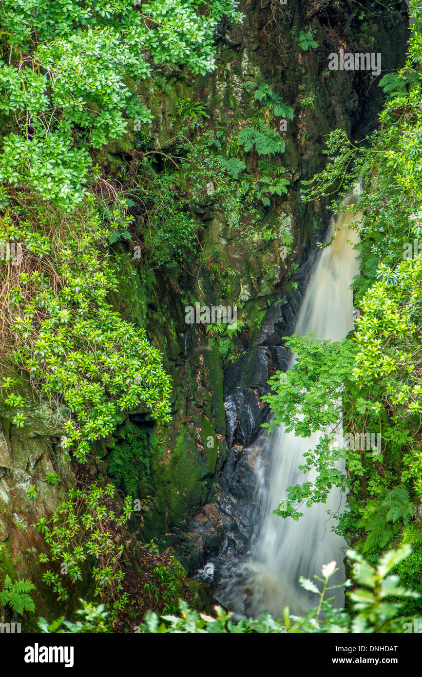 Stanley Ghyll Force one of the most beautiful Lakeland waterfalls. Stock Photo