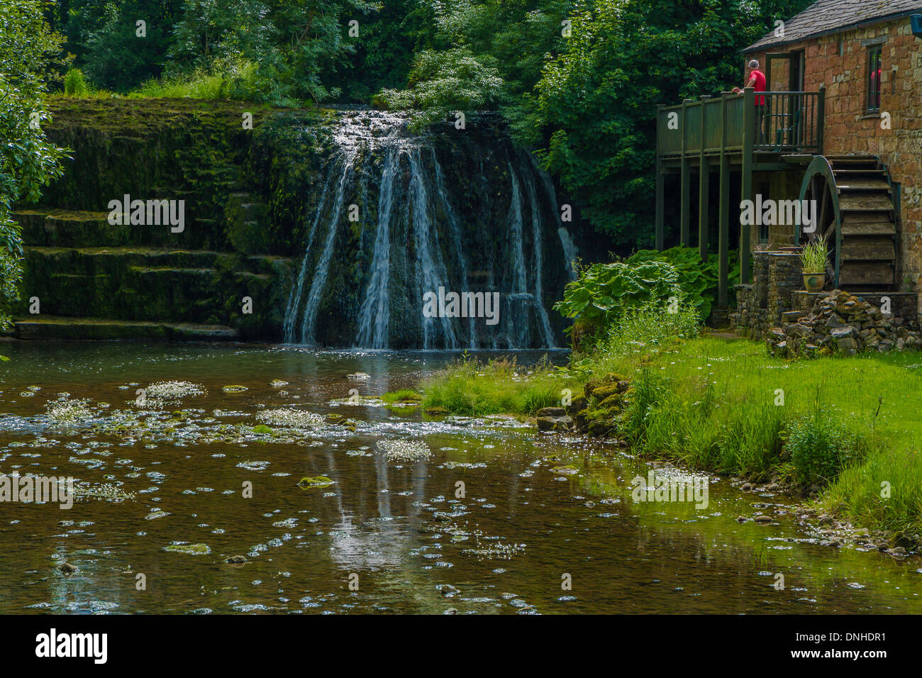 Rutter Falls in the Eden Valley, Cumbria Stock Photo Alamy