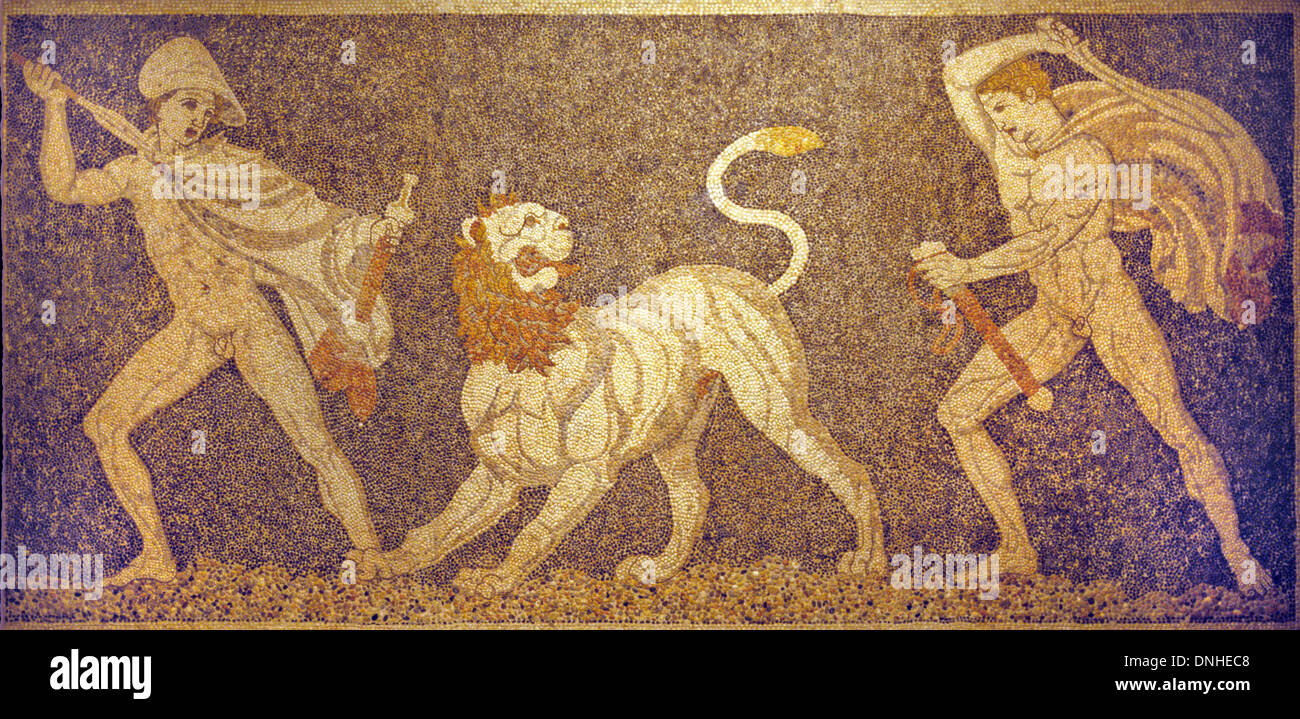 Greek Roman Pebble Floor Mosaic of Lion Hunt c4th BC from Pella Macedonia Greece Stock Photo