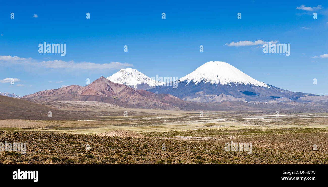 Parinacota and Pomerape volcanoes, Lauca national park, Chile Stock Photo
