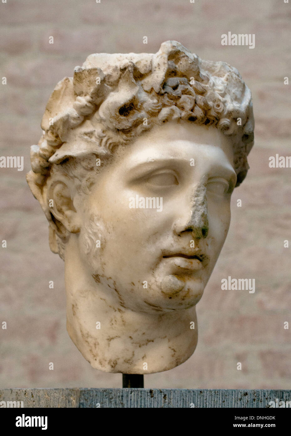 Head of Herakles - Heracles 100 AD  ( wreath of leaves of poplar ) Roman copy after Greek original  200 BC Greek Stock Photo