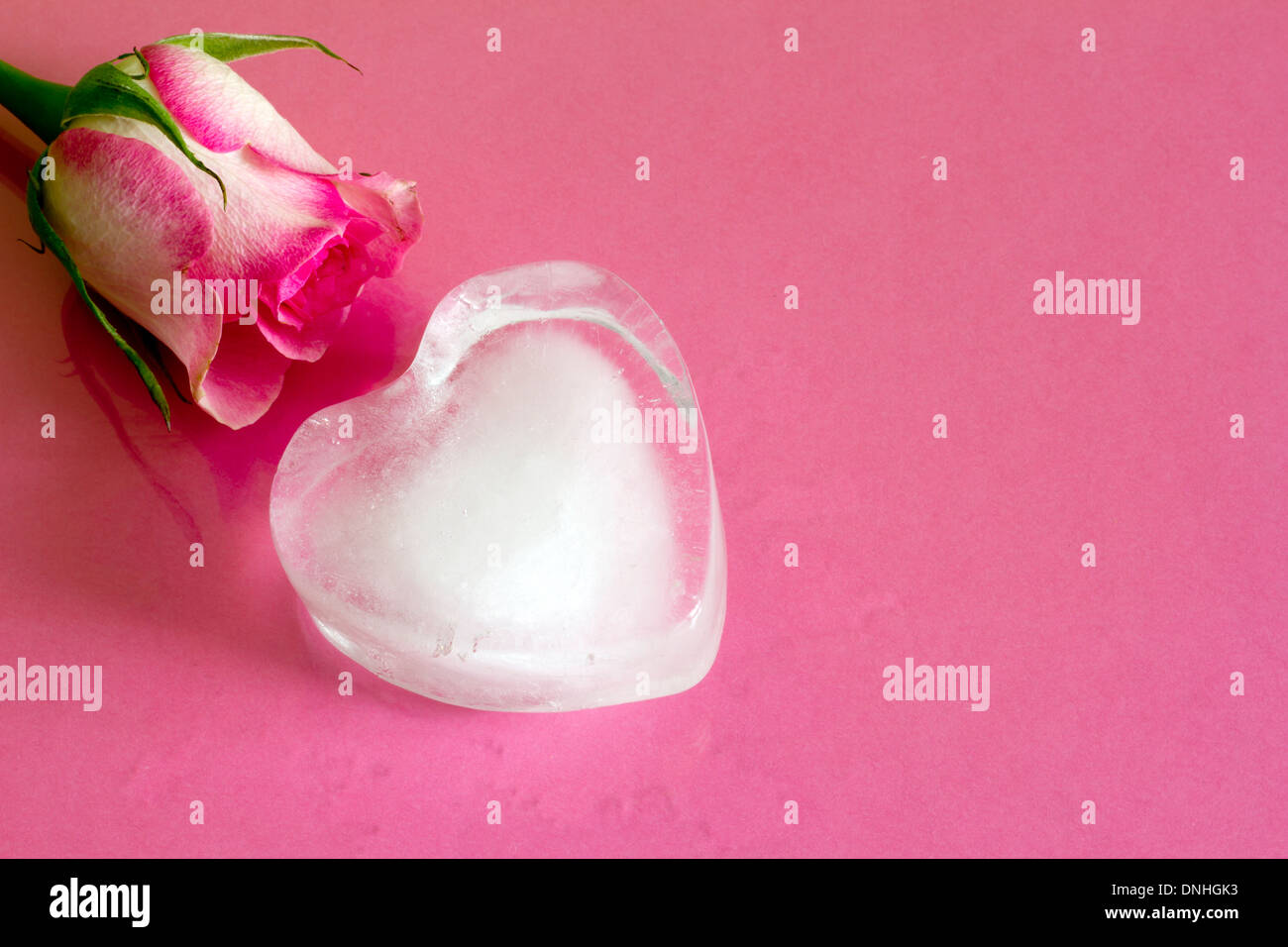 Ice heart on pink abstract valentine love background with water Stock