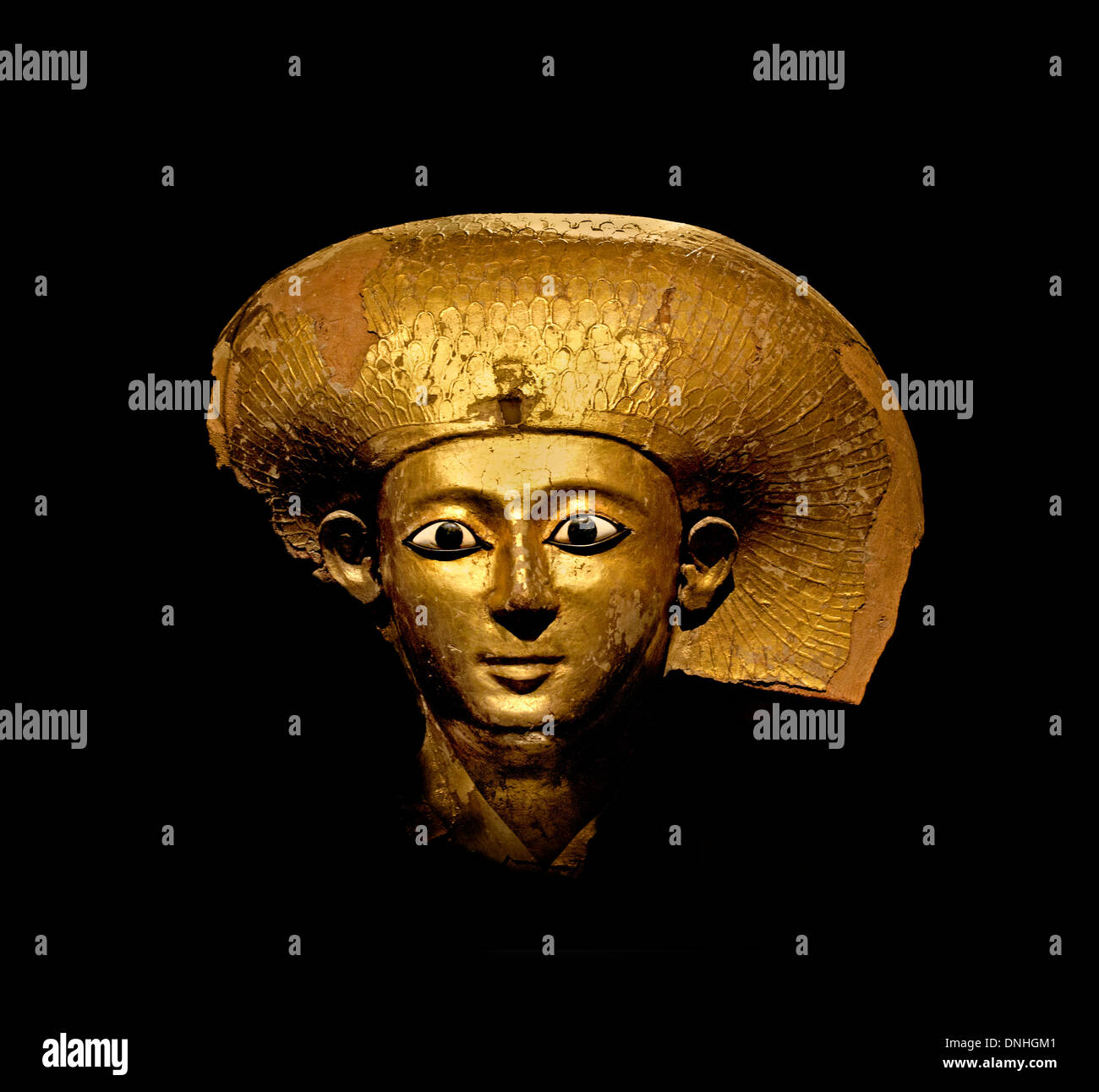 Djehuti hires stock photography and images Alamy