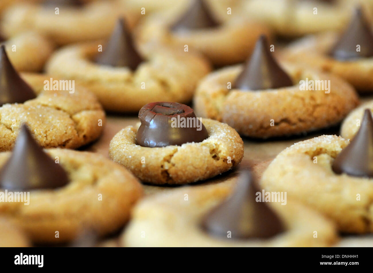 One of its kind hires stock photography and images Alamy