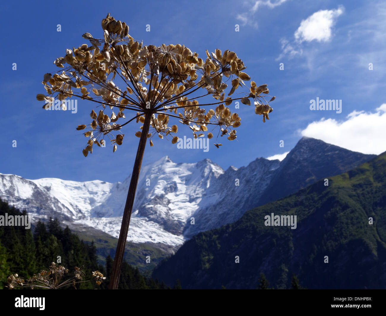 The Aiguille de Bionassay in the French Alps Stock Photo
