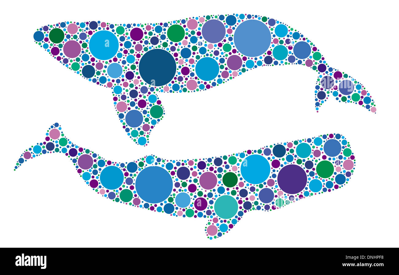 dotted whales isolated Stock Photo - Alamy