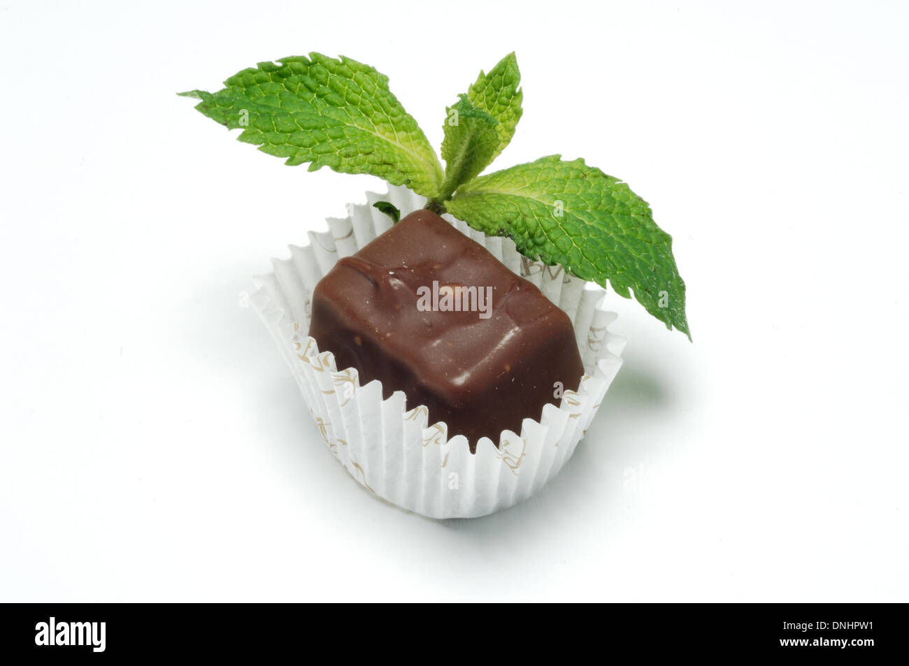 A small packaged chocolate treat with a sprig of mint leaves, Stock Photo