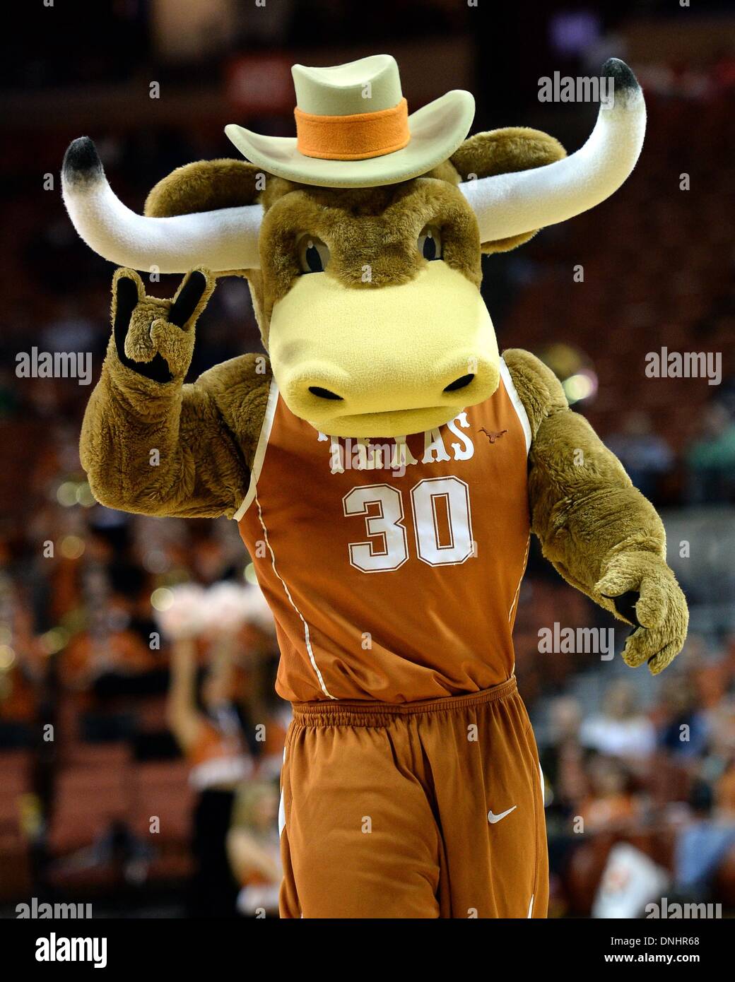 Texas Longhorns Mascot Stock Photos & Texas Longhorns Mascot Stock ...