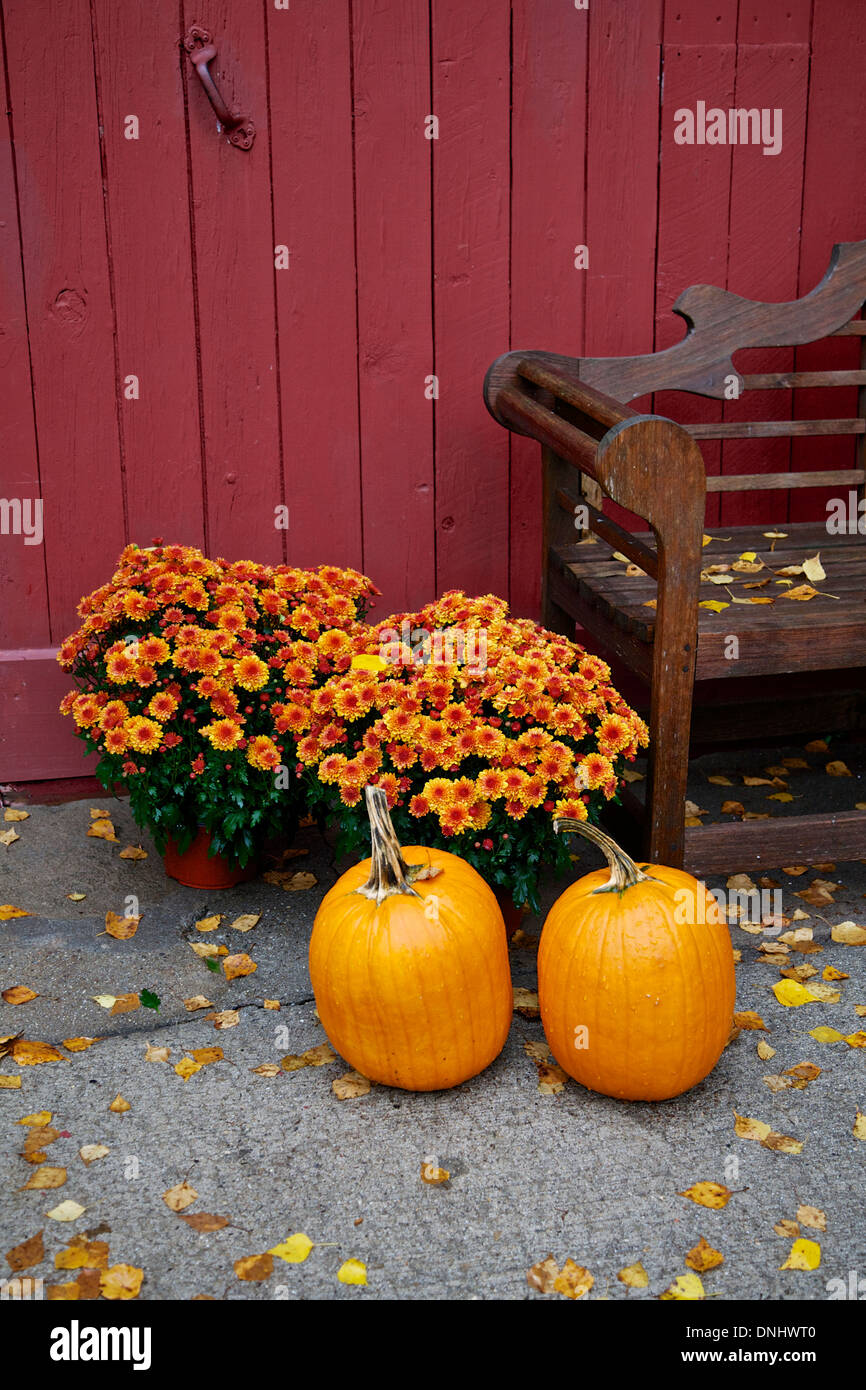 Pumpkin, New England, Autumn or Fall display Stock Photo