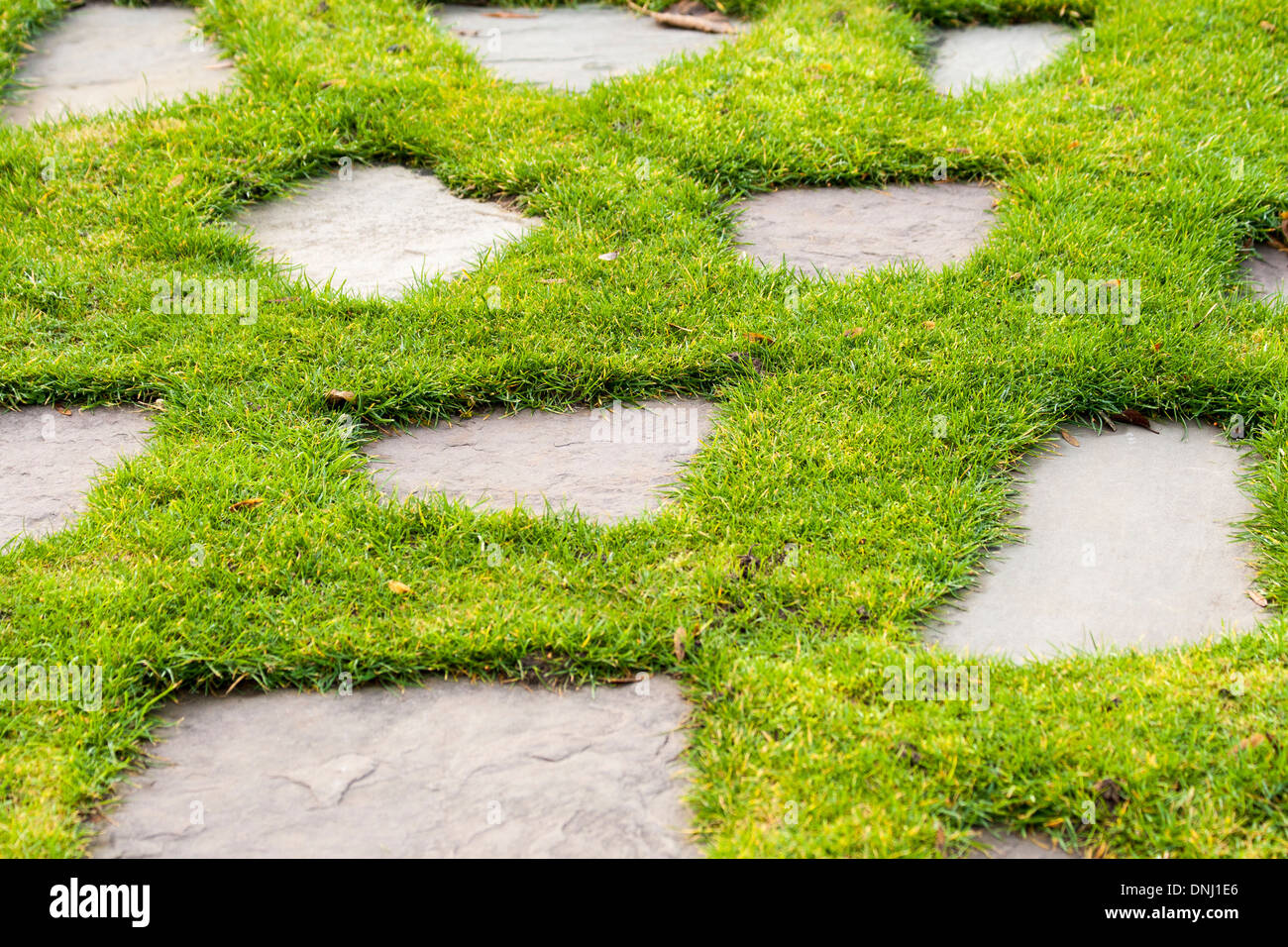 Stone path in the green grass park garden Stock Photo Alamy