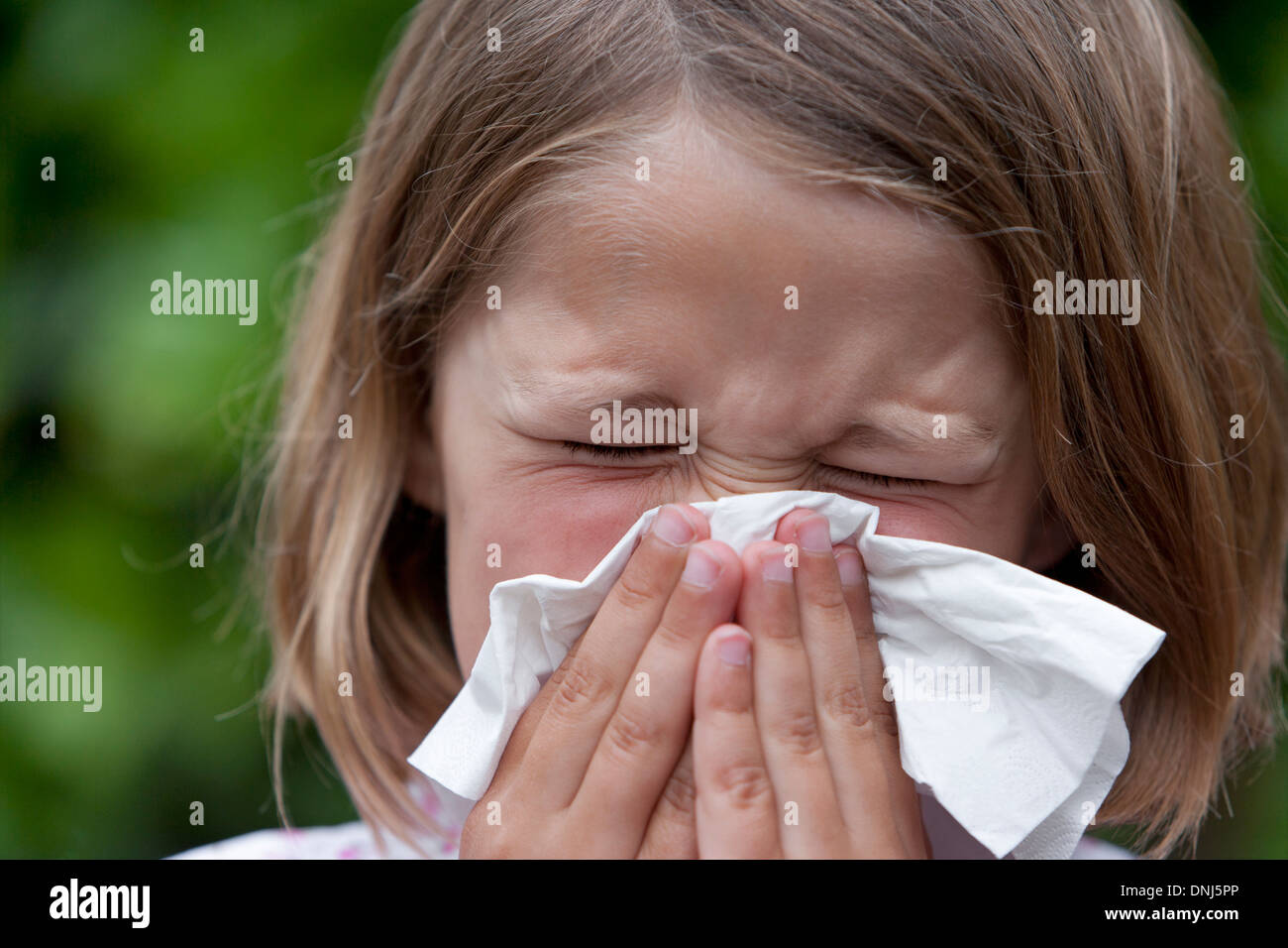 Little girl blowing her nose in a paper handkerchief Stock Photo Alamy