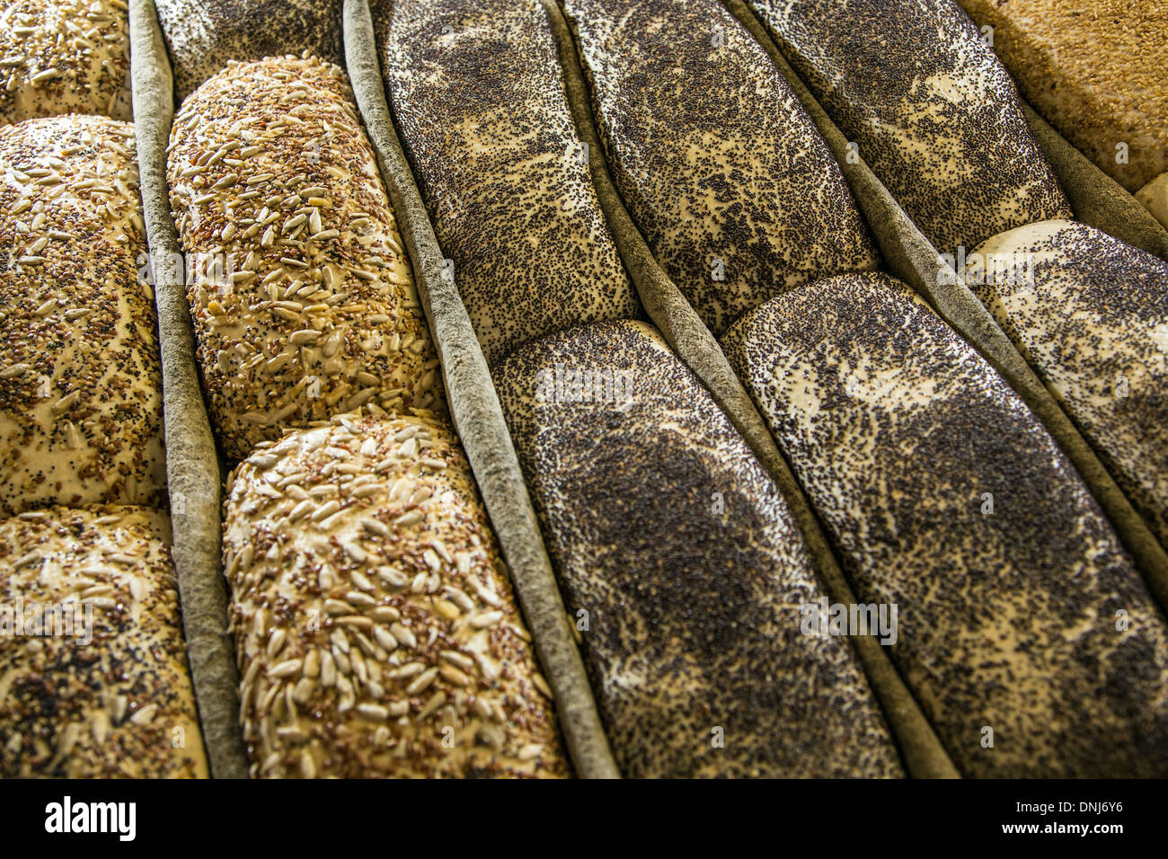 ORGANIC BREADS WITH SEEDS (SESAME, POPPY, PINE NUTS, LINSEED) BEFORE BAKING IN A WOODBURNING