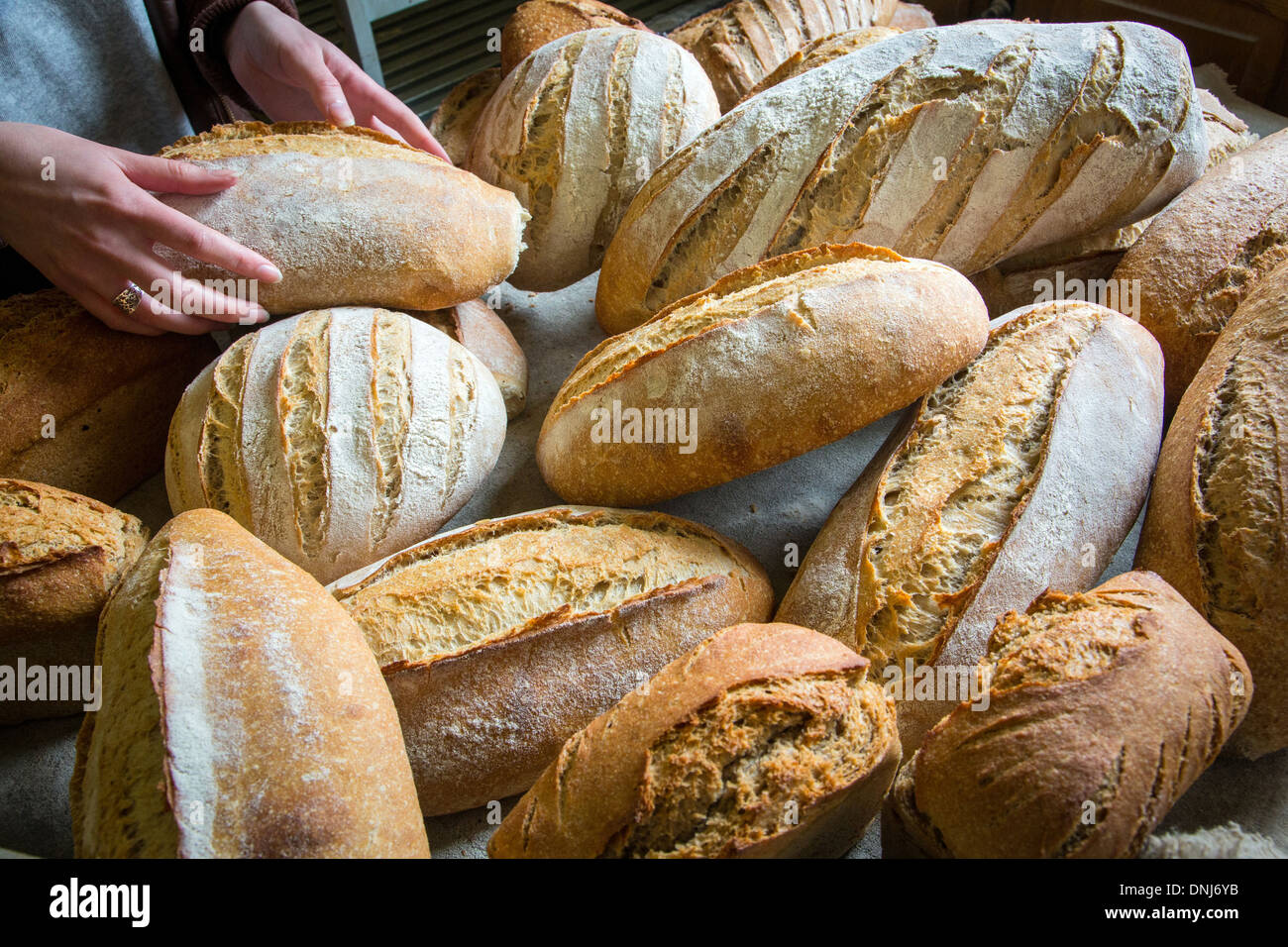ORGANIC BREADS BAKED IN A WOODBURNING OVEN, BAKERY AT THE SAINTMAMERT