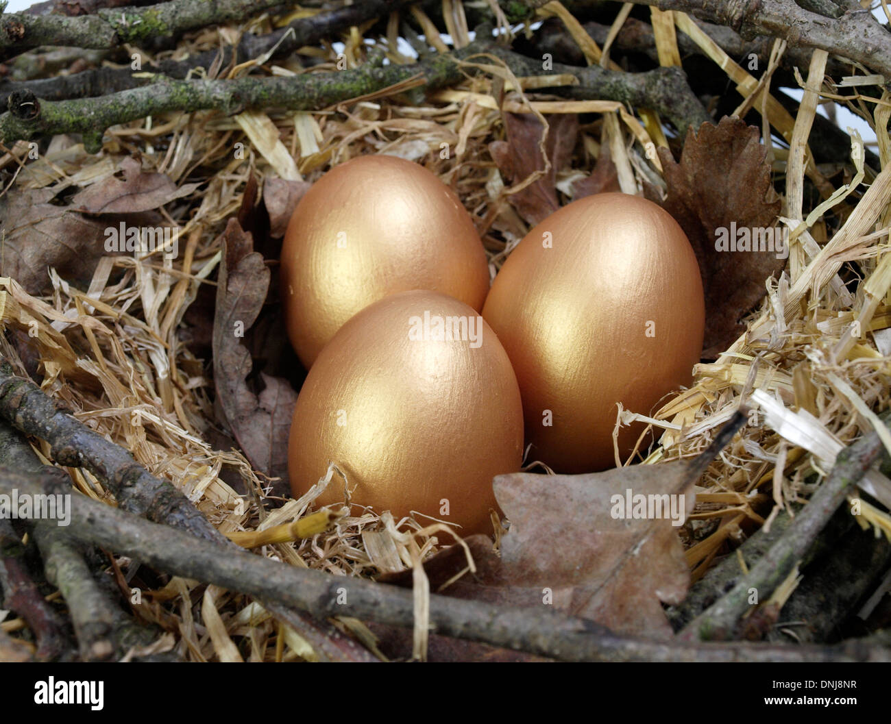 Three golden eggs in a nest Stock Photo