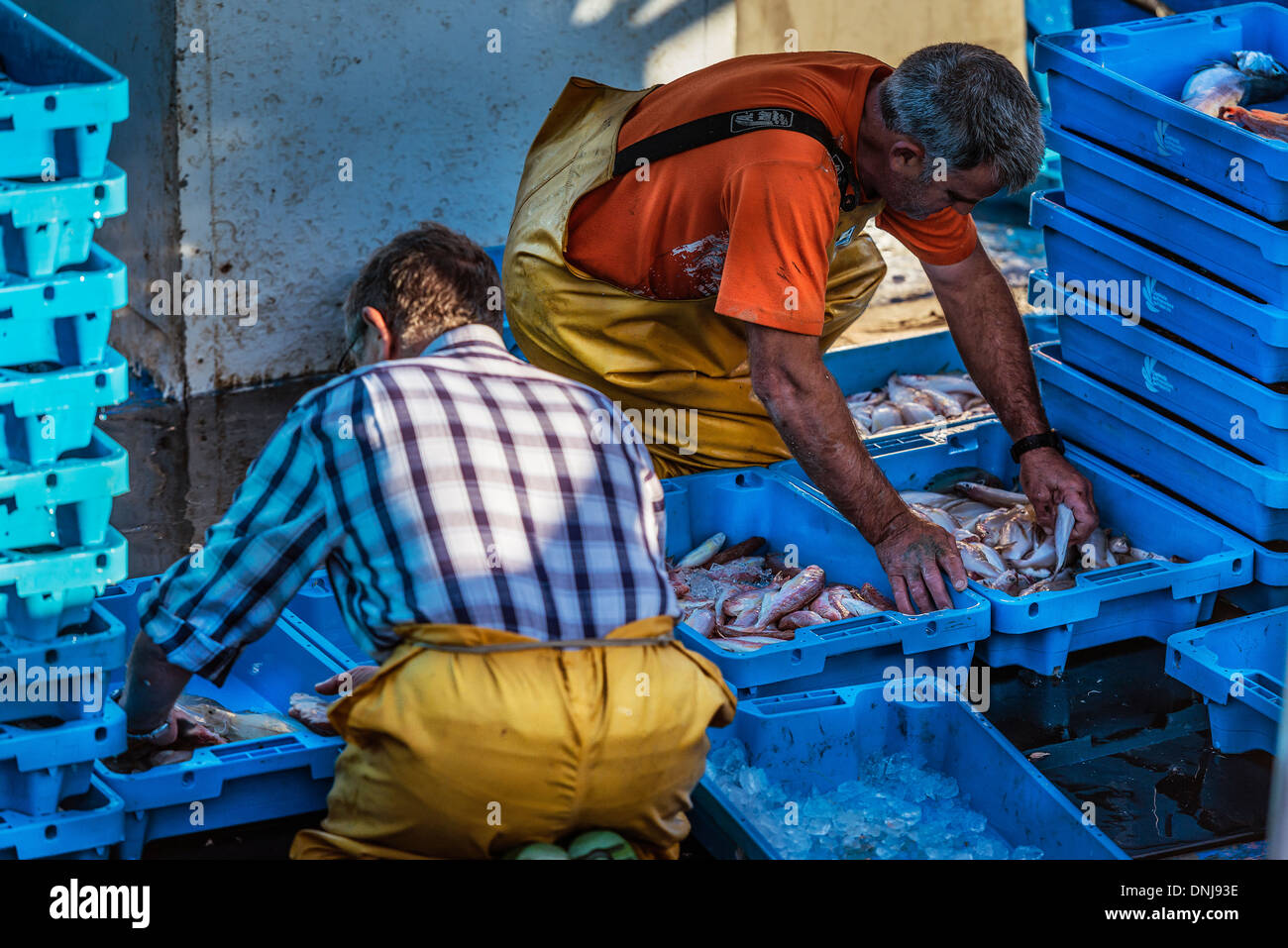 Fisherman sort their catch for market, Palamos, Spain Stock Photo