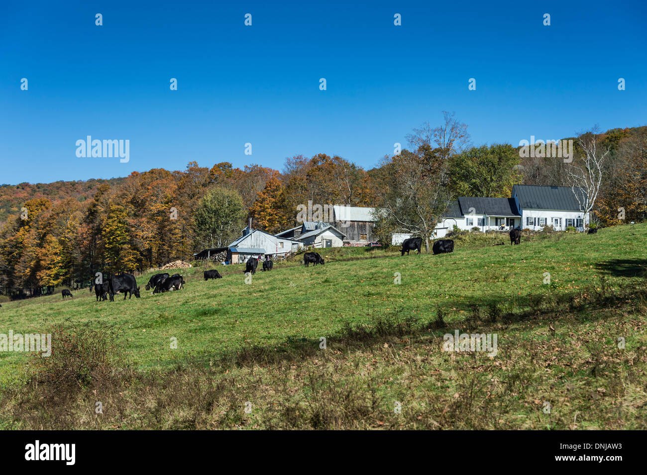 Sugarbush farm woodstock hires stock photography and images Alamy