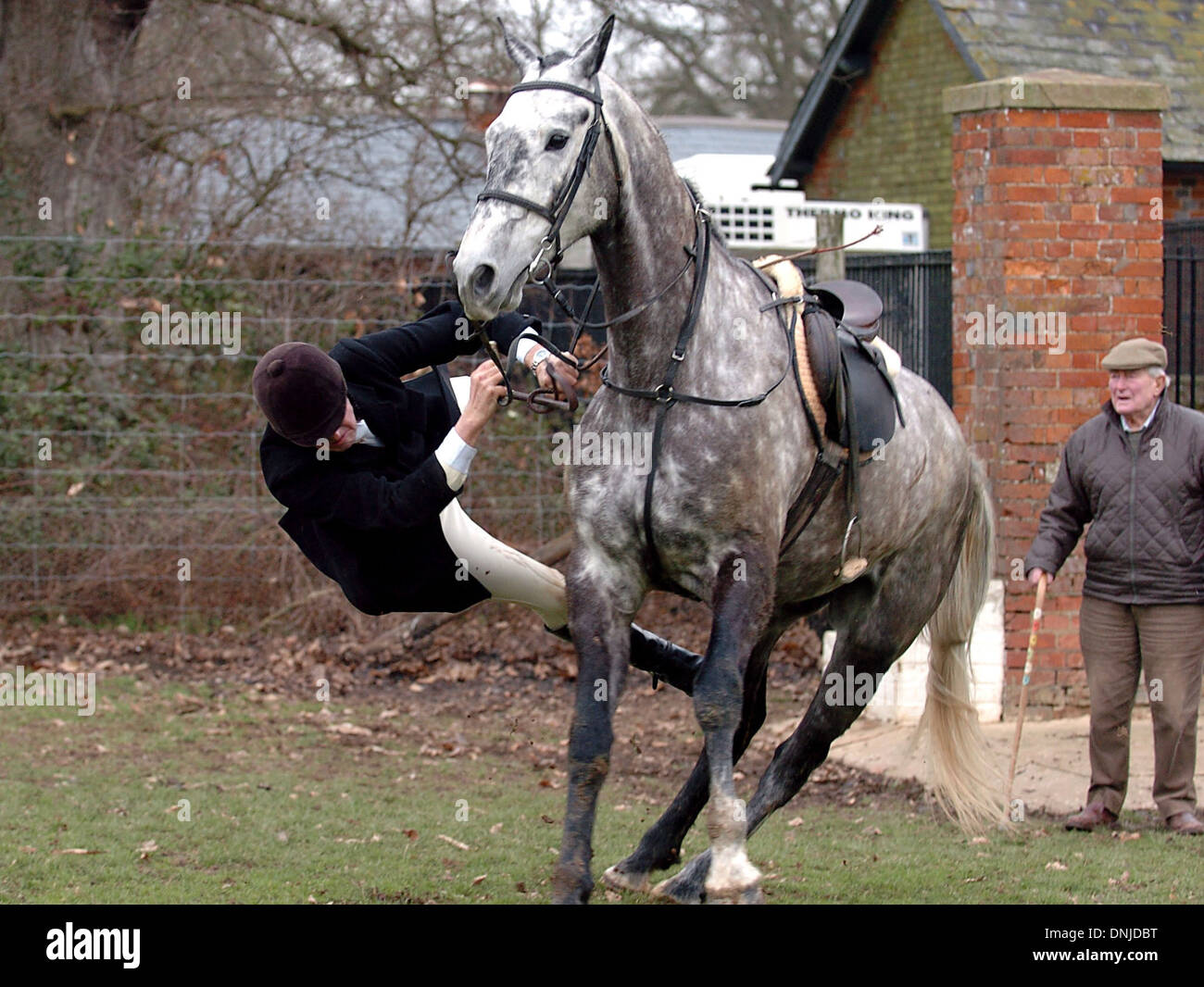 Rider falling off horse hires stock photography and images Alamy