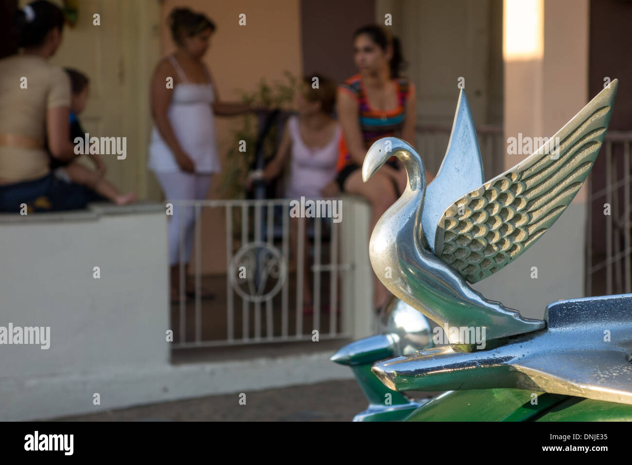 Car radiator mascot hi-res stock photography and images - Alamy