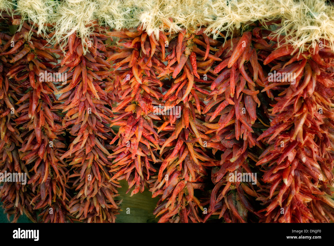 Red Chili peppers on string. Santa Fe, New Mexico Stock Photo