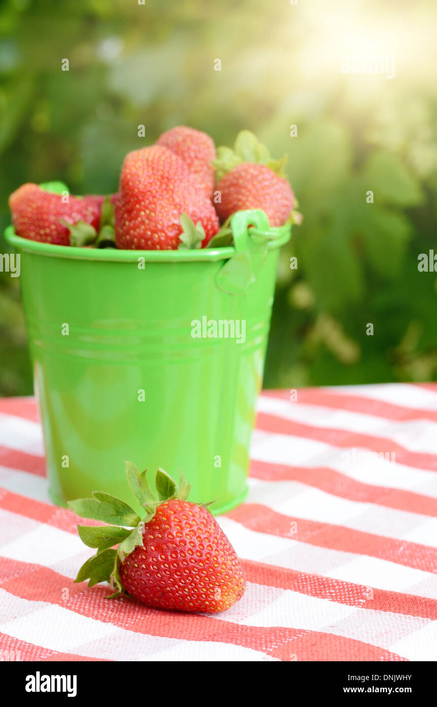 Green bucket fool of organic strawberries Stock Photo - Alamy