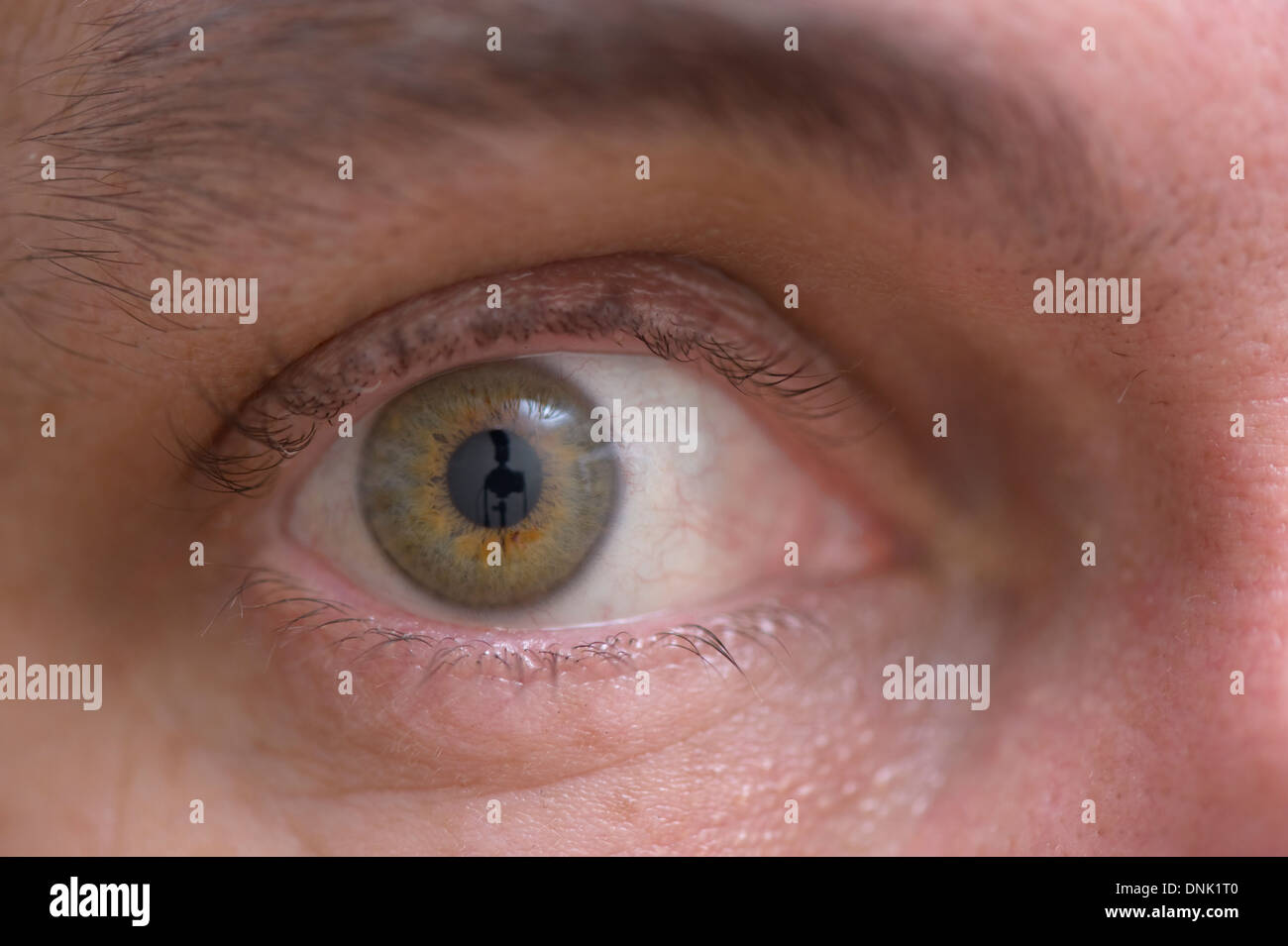 Close up of eye with reflection of camera on retina Stock Photo