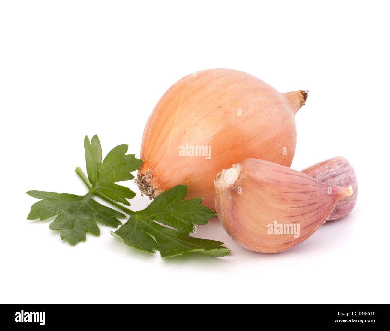 Onion and garlic clove isolated on white background Stock Photo - Alamy