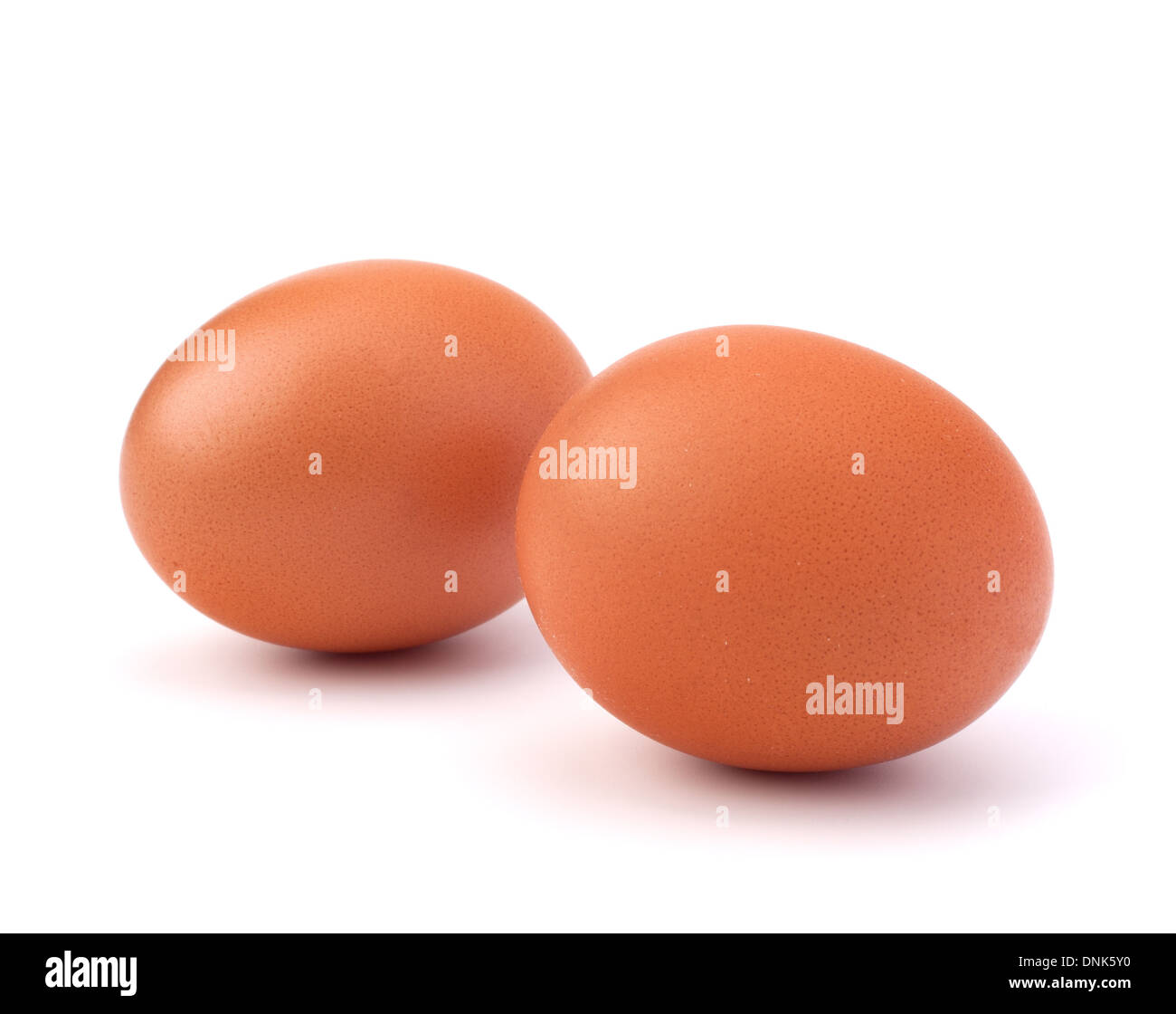 two eggs isolated on white background Stock Photo - Alamy