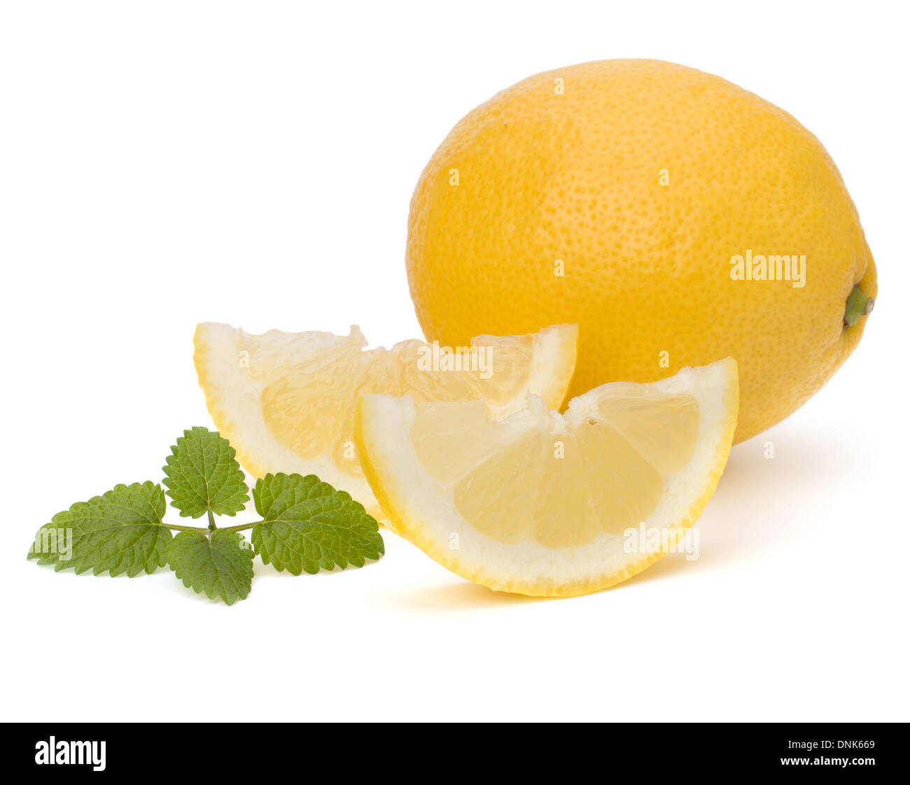 Lemon and citron mint leaf isolated on white background Stock Photo