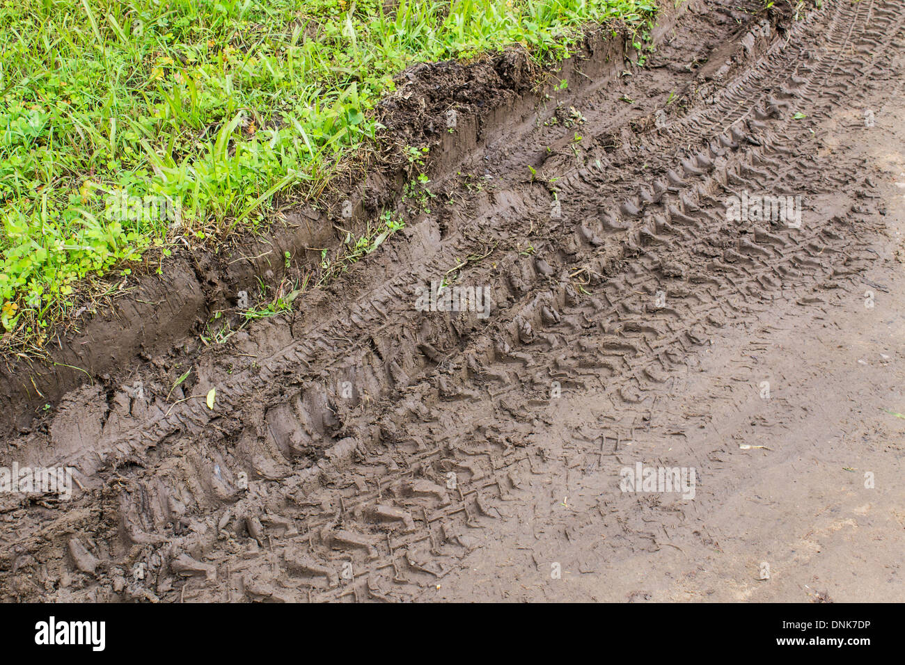 Tire tracks adventure on Dirt Road Stock Photo Alamy