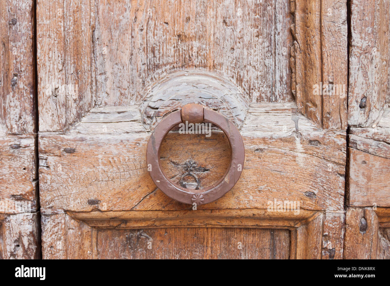 Decorative bronze lion head door knob handle Stock Photo Alamy