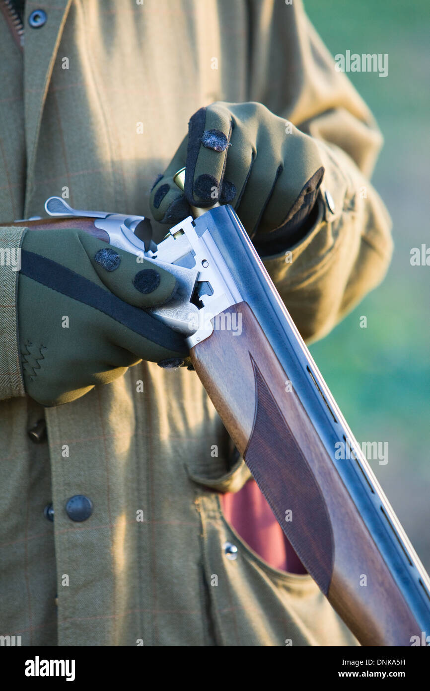 A man loading a 12 bore or gauge shotgun on a pheasant shoot in England