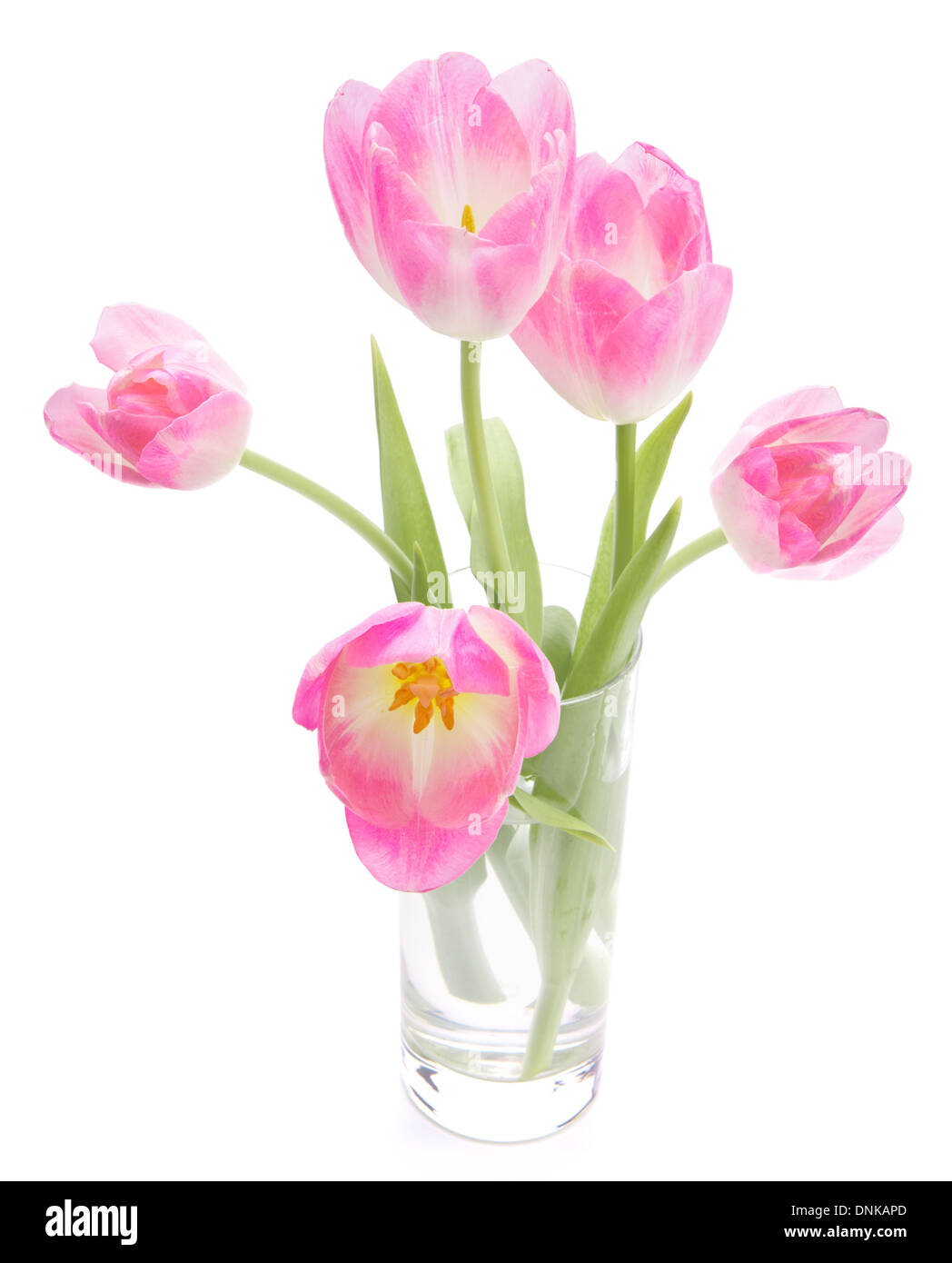 Pink tulips bouquet in vase isolated on white background Stock Photo ...