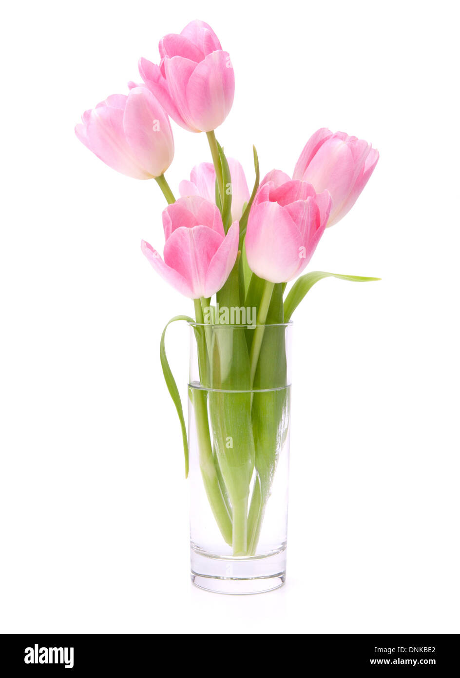 Pink tulips bouquet in vase isolated on white background Stock Photo ...