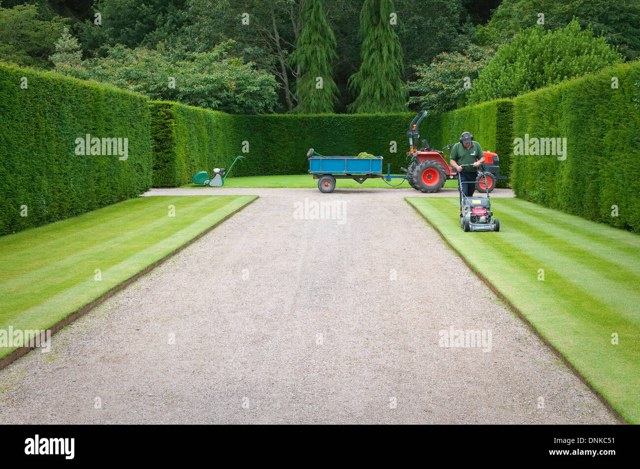 Lawn maintenance at RHS Rosemoor Gardens, Devon, UK. Stock Photo