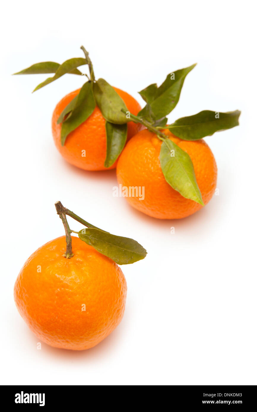 Clementine's isolated on a white studio background Stock Photo Alamy