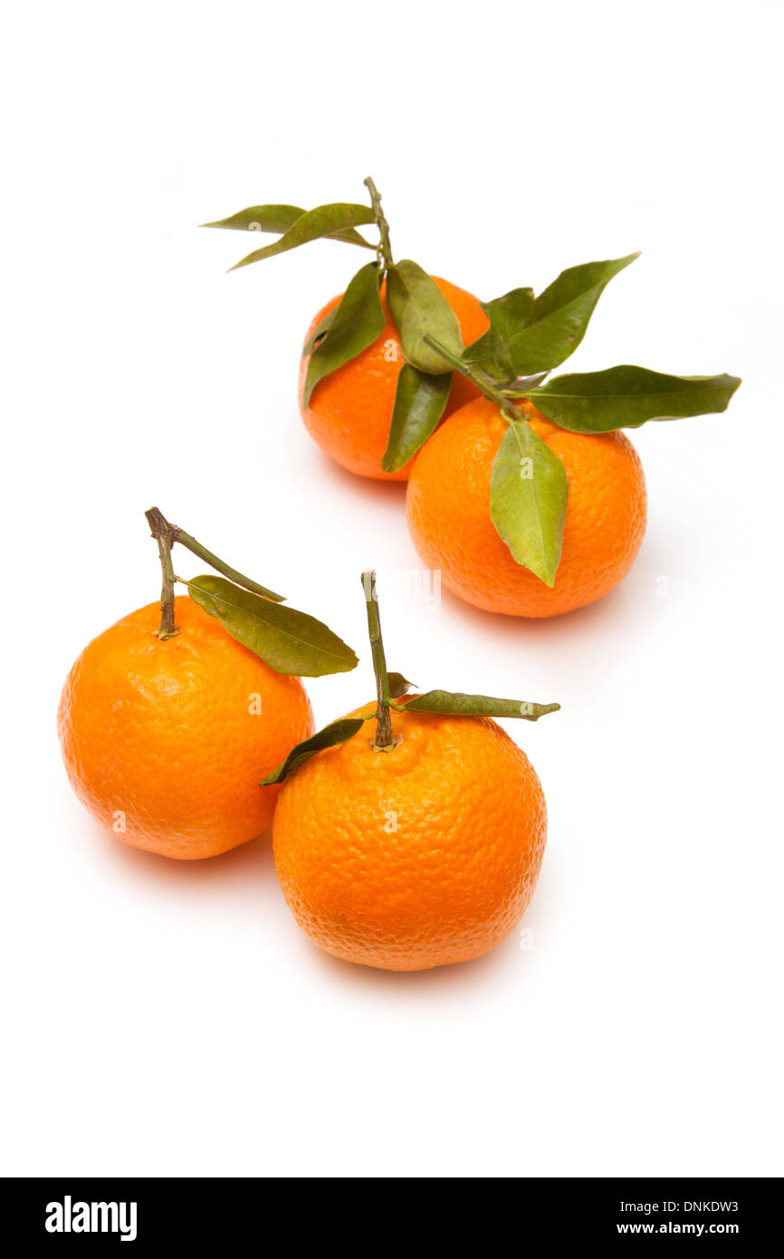Clementine's isolated on a white studio background Stock Photo Alamy