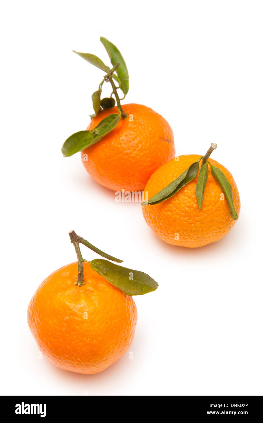 Clementine's isolated on a white studio background Stock Photo Alamy