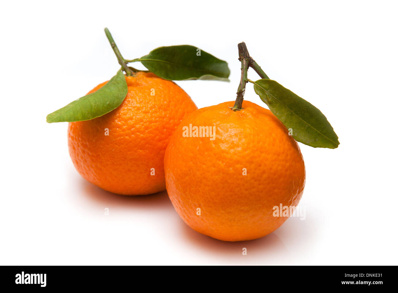 Clementine's isolated on a white studio background Stock Photo Alamy